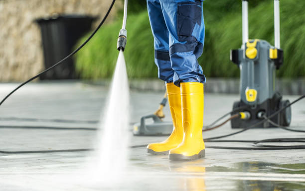 Best Local Pressure Washing Services  in Ligonier, IN